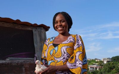 Silver metal sheets on the horizon – A report from our visit to Nigeria